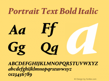 Portrait Text Bold Italic Version 1.001;PS 001.001;hotconv 1.0.57;makeotf.lib2.0.21895图片样张