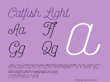 Catfish Light Version 1.001;PS 001.001;hotconv 1.0.70;makeotf.lib2.5.58329图片样张