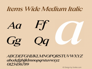 Items Wide Medium Italic Version 1.001;Glyphs 3.2 (3177)图片样张