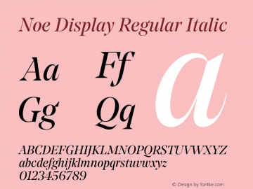 Noe Display Regular Italic Version 2.000;FEAKit 1.0图片样张