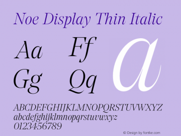 Noe Display Thin Italic Version 2.000;FEAKit 1.0图片样张