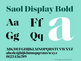 Saol Display Bold Version 1.001;hotconv 1.0.109;makeotfexe 2.5.65596图片样张