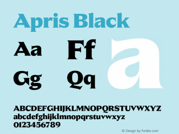 Apris Black Version 1.001;FEAKit 1.0图片样张