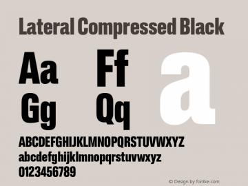 Lateral Compressed Black Version 1.000;FEAKit 1.0图片样张