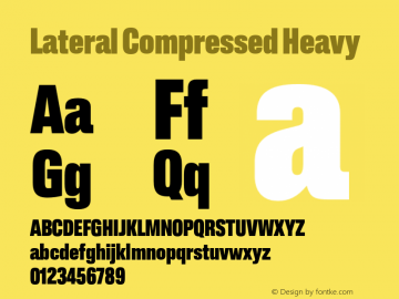 Lateral Compressed Heavy Version 1.001;FEAKit 1.0图片样张