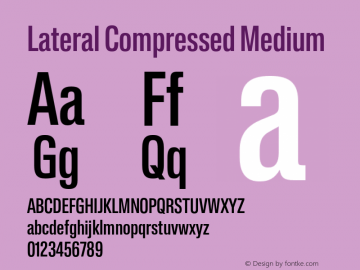 Lateral Compressed Medium Version 1.001;FEAKit 1.0图片样张