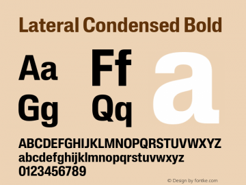 Lateral Condensed Bold Version 1.001;FEAKit 1.0图片样张