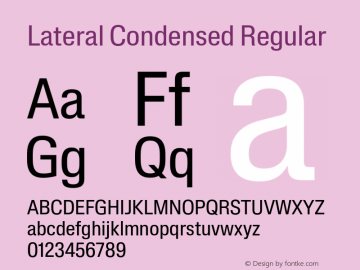 Lateral Condensed Regular Version 1.001;FEAKit 1.0图片样张