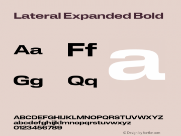 Lateral Expanded Bold Version 1.001;FEAKit 1.0图片样张