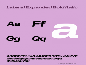 Lateral Expanded Bold Italic Version 1.001;FEAKit 1.0图片样张