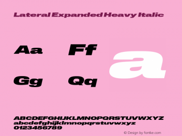 Lateral Expanded Heavy Italic Version 1.001;FEAKit 1.0图片样张