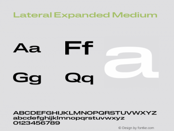Lateral Expanded Medium Version 1.001;FEAKit 1.0图片样张