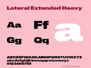 Lateral Extended Heavy Version 1.001;FEAKit 1.0图片样张