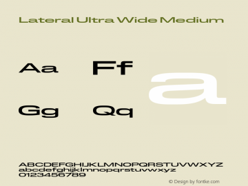 Lateral Ultra Wide Medium Version 1.001;FEAKit 1.0图片样张