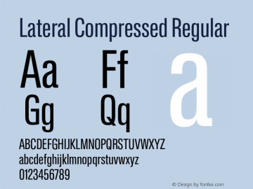 Lateral Compressed Regular Version 1.001;FEAKit 1.0图片样张