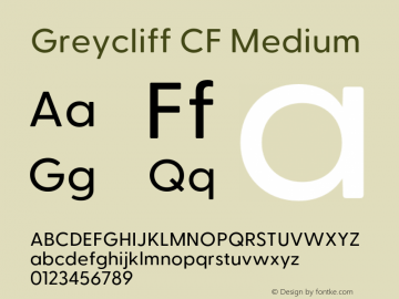 GreycliffCF-Medium Version 2.500;FEAKit 1.0图片样张