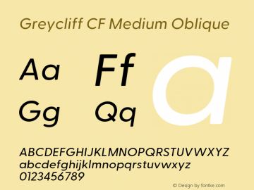 GreycliffCF-MediumOblique Version 2.500;FEAKit 1.0图片样张