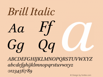 Brill Italic Version 4.00 Build 073图片样张