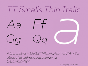 TT Smalls Thin Italic Version 1.030.08112021图片样张