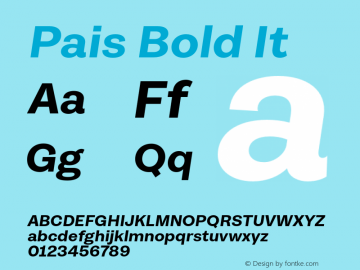 Pais Bold It Version 1.001;FEAKit 1.0图片样张