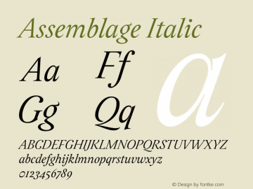 Assemblage-Italic Version 1.000;PS 001.000;hotconv 1.0.88;makeotf.lib2.5.64775图片样张