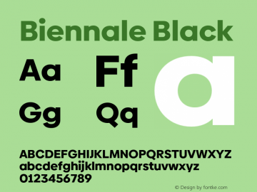 Biennale Black Version 1.001;hotconv 1.0.109;makeotfexe 2.5.65596图片样张