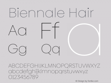 Biennale Hair Version 1.001;hotconv 1.0.109;makeotfexe 2.5.65596图片样张