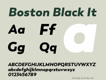 Boston Black It Version 1.001;PS 001.001;hotconv 1.0.88;makeotf.lib2.5.64775图片样张
