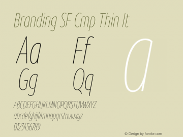 Branding SF Cmp Thin It Version 1.000;hotconv 1.0.109;makeotfexe 2.5.65596图片样张