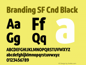 Branding SF Cnd Black Version 1.000;hotconv 1.0.109;makeotfexe 2.5.65596图片样张