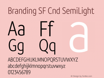 Branding SF Cnd SemiLight Version 1.000;hotconv 1.0.109;makeotfexe 2.5.65596图片样张