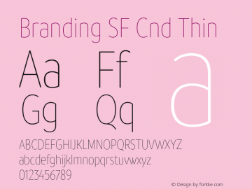 Branding SF Cnd Thin Version 1.000;hotconv 1.0.109;makeotfexe 2.5.65596图片样张