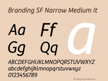 Branding SF Narrow Medium It Version 1.000;hotconv 1.0.109;makeotfexe 2.5.65596图片样张