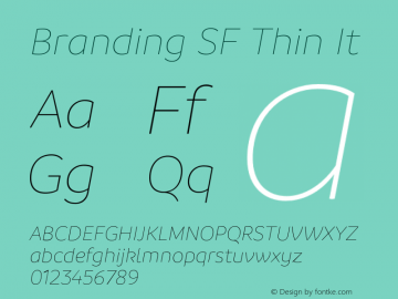 Branding SF Thin It Version 1.000;hotconv 1.0.109;makeotfexe 2.5.65596图片样张