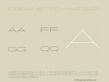 Organetto Hair Exp Version 1.000;hotconv 1.0.109;makeotfexe 2.5.65596图片样张