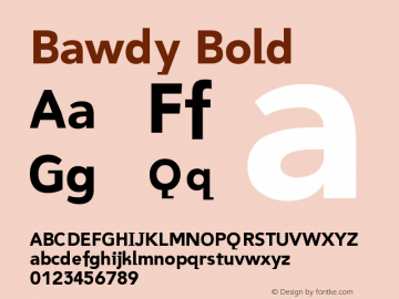 Bawdy Bold Version 001.000 Font Sample