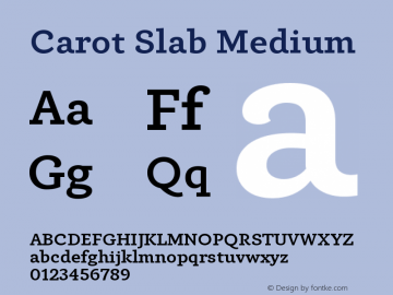 Carot Slab Medium Version 1.000图片样张