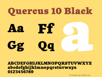 Quercus10-Black Version 1.000图片样张