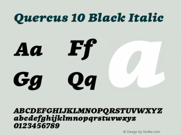 Quercus10-BlackItalic Version 001.000图片样张