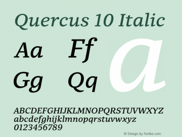 Quercus10-Italic Version 001.000图片样张