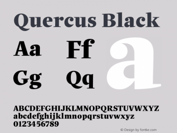 Quercus-Black Version 1.000图片样张