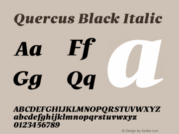 Quercus-BlackItalic Version 1.000图片样张