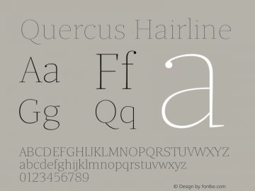 Quercus-Hairline Version 1.000图片样张