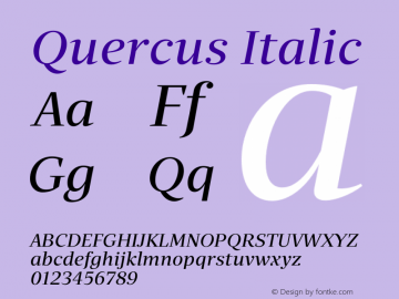 Quercus-Italic Version 1.000图片样张