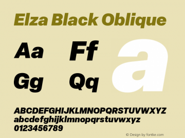 Elza Black Oblique Version 1.000图片样张