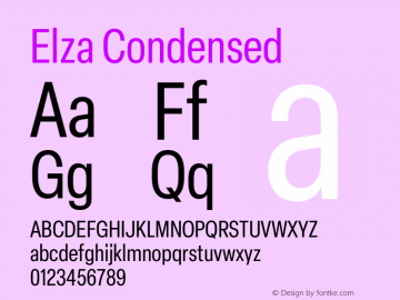 Elza Condensed Version 1.000图片样张