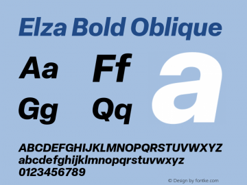 Elza Bold Oblique Version 1.000图片样张