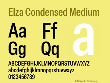 Elza Condensed Medium Version 1.000图片样张