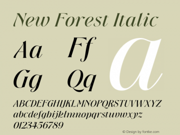 New Forest Italic Version 1.000图片样张