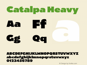 Catalpa Heavy Version 1.000;hotconv 1.0.109;makeotfexe 2.5.65596图片样张